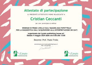 attestato partecipazione workshop 